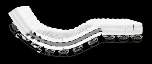 Lattoflex Fluegelfederrahmen Lattoflex 200 Alleskönner