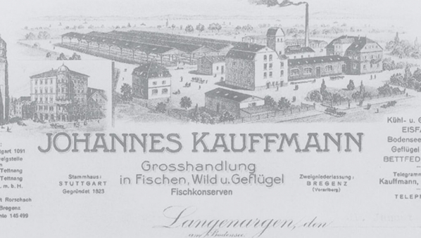 KAUFFMANN